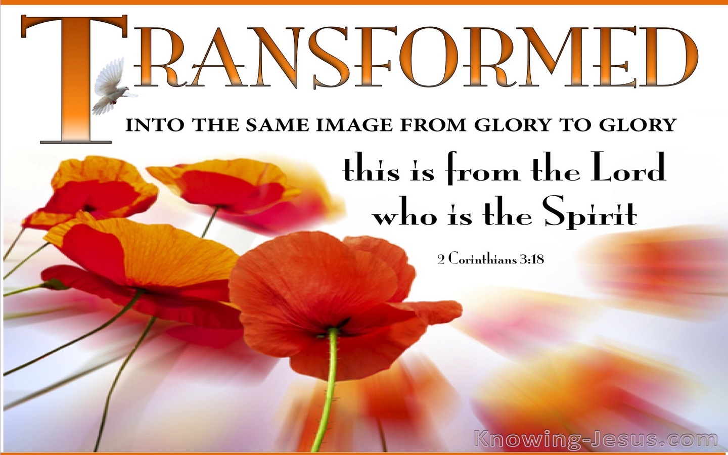2 Corinthians 3:18 Transformed From Glory To Glory (orange)